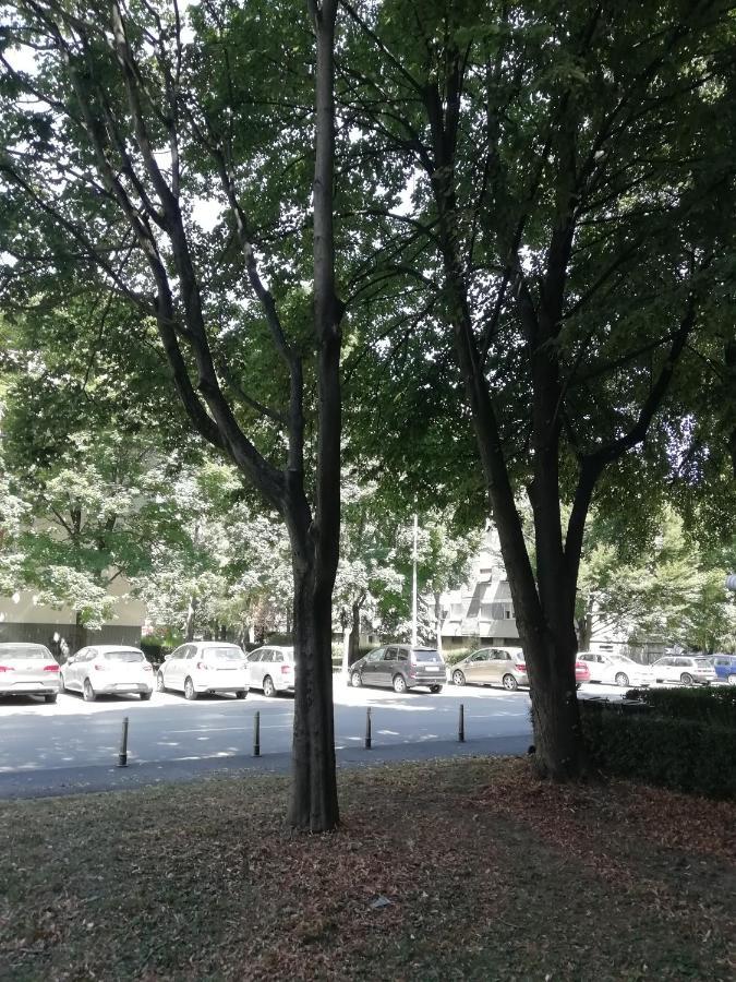 Sarmantni Apartman Malecka Zagreb Exterior foto